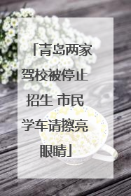 青岛两家驾校被停止招生 市民学车请擦亮眼睛