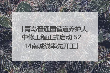 青岛普通国省道养护大中修工程正式启动 S214南城线率先开工