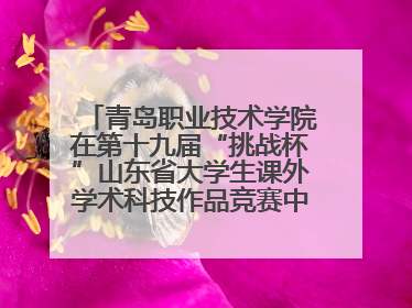 青岛职业技术学院在第十九届“挑战杯”山东省大学生课外学术科技作品竞赛中斩获佳绩