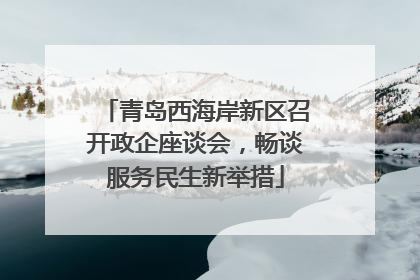 青岛西海岸新区召开政企座谈会，畅谈服务民生新举措