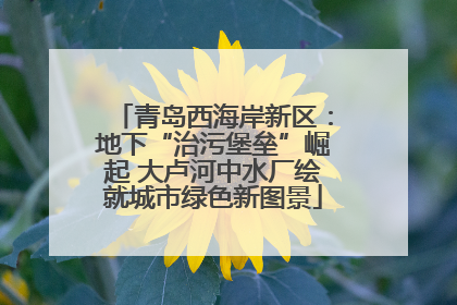 青岛西海岸新区：地下“治污堡垒”崛起 大卢河中水厂绘就城市绿色新图景