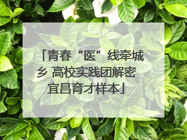 青春“医”线牵城乡 高校实践团解密宜昌育才样本