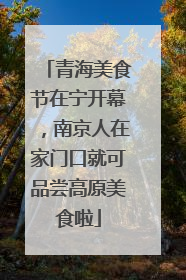 青海美食节在宁开幕，南京人在家门口就可品尝高原美食啦