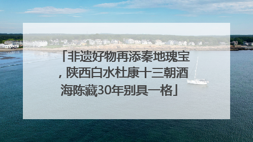 非遗好物再添秦地瑰宝，陕西白水杜康十三朝酒海陈藏30年别具一格