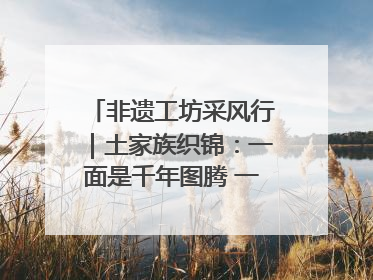 非遗工坊采风行｜土家族织锦：一面是千年图腾 一面是幸福画卷