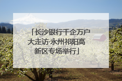 长沙银行千企万户大走访·永州祁阳高新区专场举行