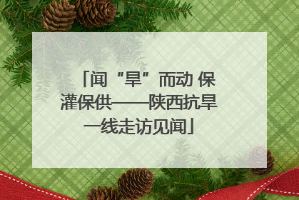 闻“旱”而动 保灌保供——陕西抗旱一线走访见闻