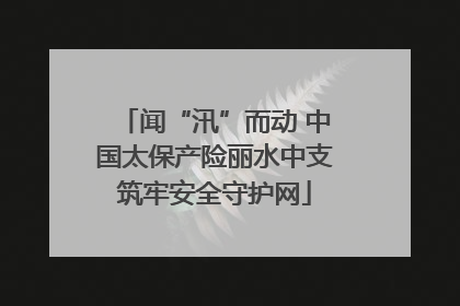 闻“汛”而动 中国太保产险丽水中支筑牢安全守护网