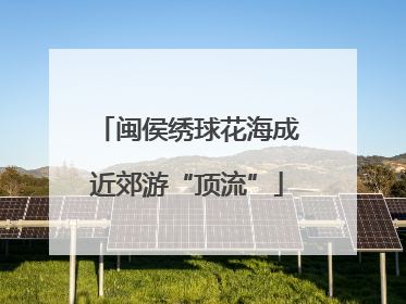 闽侯绣球花海成近郊游“顶流”