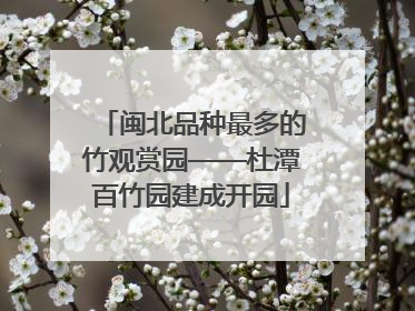 闽北品种最多的竹观赏园——杜潭百竹园建成开园