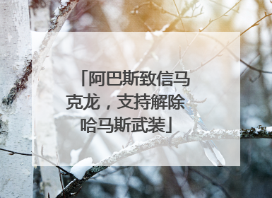 阿巴斯致信马克龙，支持解除哈马斯武装