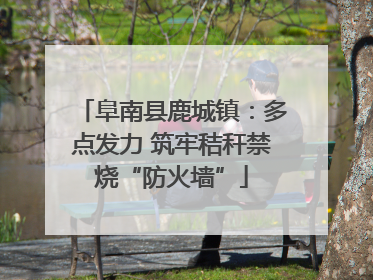 阜南县鹿城镇：多点发力 筑牢秸秆禁烧“防火墙”