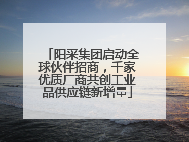 阳采集团启动全球伙伴招商，千家优质厂商共创工业品供应链新增量