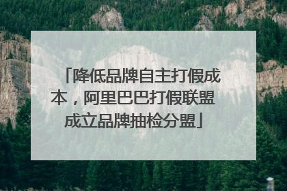 降低品牌自主打假成本，阿里巴巴打假联盟成立品牌抽检分盟