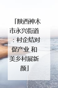 陕西神木市永兴街道：村企结对促产业 和美乡村展新颜
