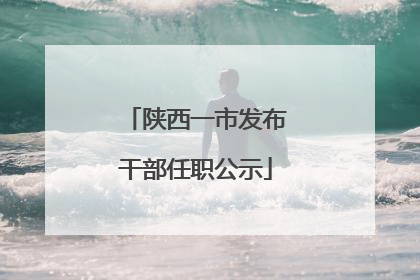 陕西一市发布干部任职公示