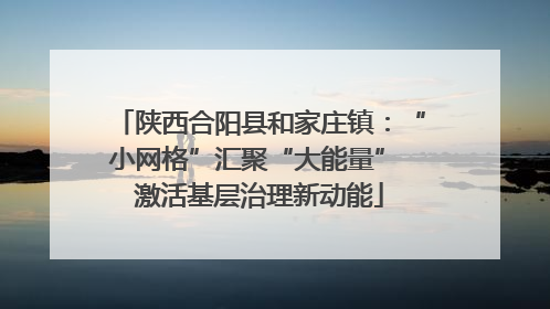 陕西合阳县和家庄镇：“小网格”汇聚“大能量” 激活基层治理新动能