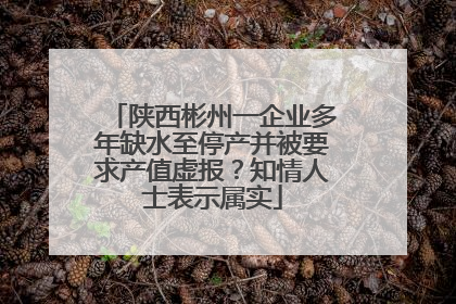 陕西彬州一企业多年缺水至停产并被要求产值虚报？知情人士表示属实