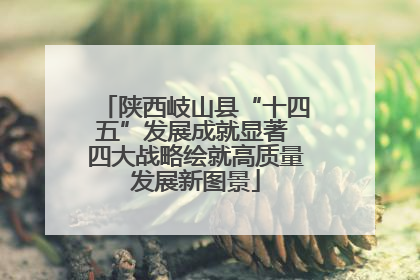 陕西岐山县“十四五”发展成就显著 四大战略绘就高质量发展新图景