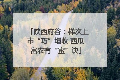 陕西府谷：梯次上市“巧”增收 西瓜富农有“蜜”诀