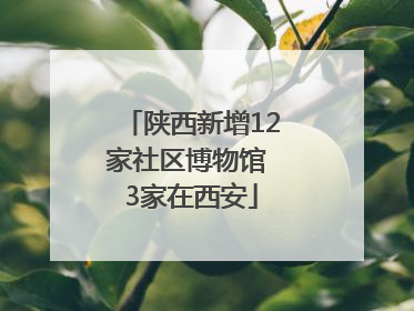 陕西新增12家社区博物馆 3家在西安