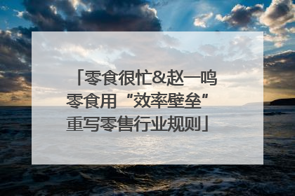 零食很忙&赵一鸣零食用“效率壁垒”重写零售行业规则