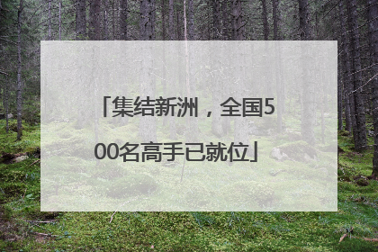 集结新洲，全国500名高手已就位
