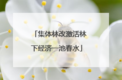 集体林改激活林下经济一池春水