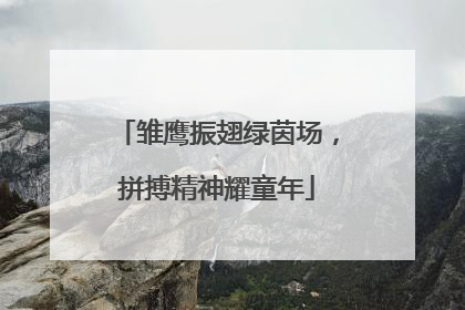 雏鹰振翅绿茵场，拼搏精神耀童年