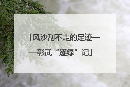 风沙刮不走的足迹——彰武“逐绿”记