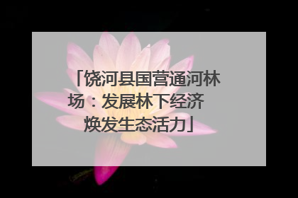饶河县国营通河林场：发展林下经济 焕发生态活力