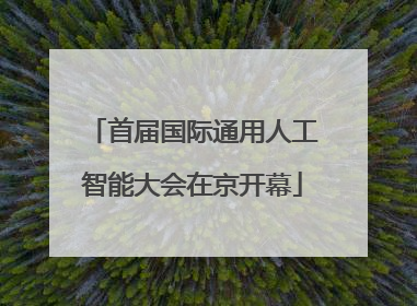 首届国际通用人工智能大会在京开幕