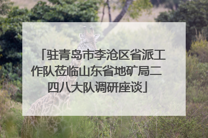 驻青岛市李沧区省派工作队莅临山东省地矿局二四八大队调研座谈