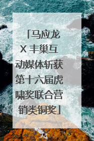 马应龙 X 丰巢互动媒体斩获第十六届虎啸奖联合营销类铜奖
