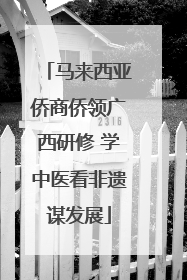 马来西亚侨商侨领广西研修 学中医看非遗谋发展