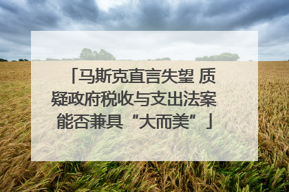 马斯克直言失望 质疑政府税收与支出法案能否兼具“大而美”