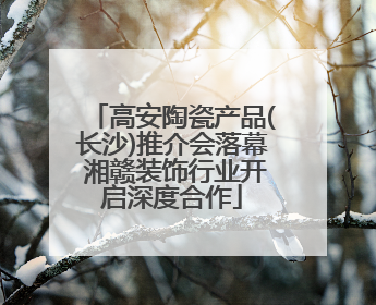 高安陶瓷产品(长沙)推介会落幕 湘赣装饰行业开启深度合作