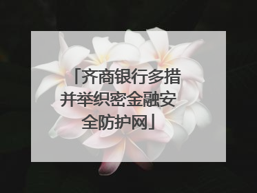 齐商银行多措并举织密金融安全防护网