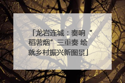 龙岩连城：奏响“稻薯烟”三重奏 绘就乡村振兴新图景