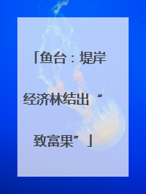 鱼台：堤岸经济林结出“致富果”