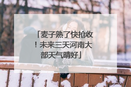麦子熟了快抢收！未来三天河南大部天气晴好
