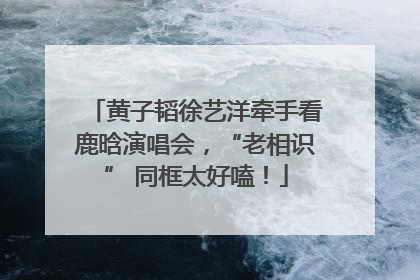 黄子韬徐艺洋牵手看鹿晗演唱会，“老相识” 同框太好嗑！