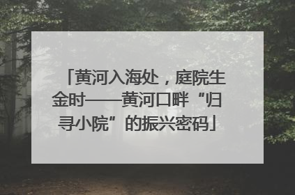 黄河入海处，庭院生金时——黄河口畔“归寻小院”的振兴密码