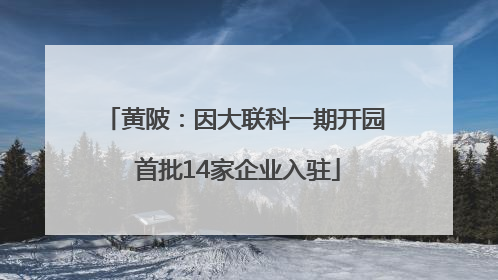 黄陂：因大联科一期开园 首批14家企业入驻