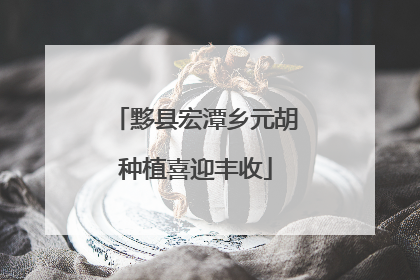 黟县宏潭乡元胡种植喜迎丰收