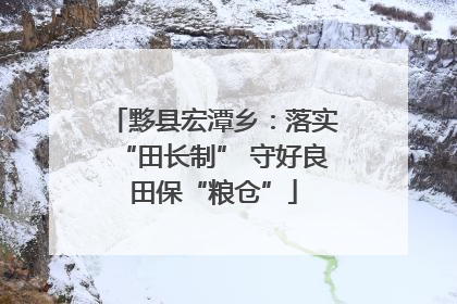 黟县宏潭乡：落实“田长制” 守好良田保“粮仓”