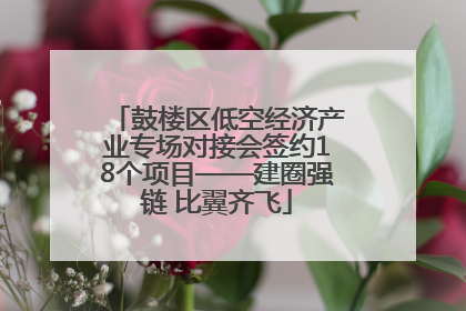 鼓楼区低空经济产业专场对接会签约18个项目——建圈强链 比翼齐飞