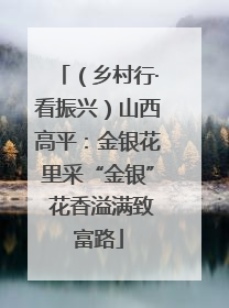 （乡村行·看振兴）山西高平：金银花里采“金银” 花香溢满致富路
