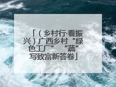 （乡村行·看振兴）广西乡村“绿色工厂” “蔬”写致富新答卷