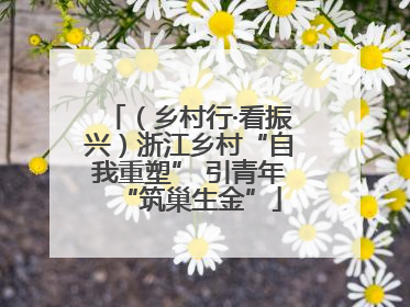 （乡村行·看振兴）浙江乡村“自我重塑” 引青年“筑巢生金”